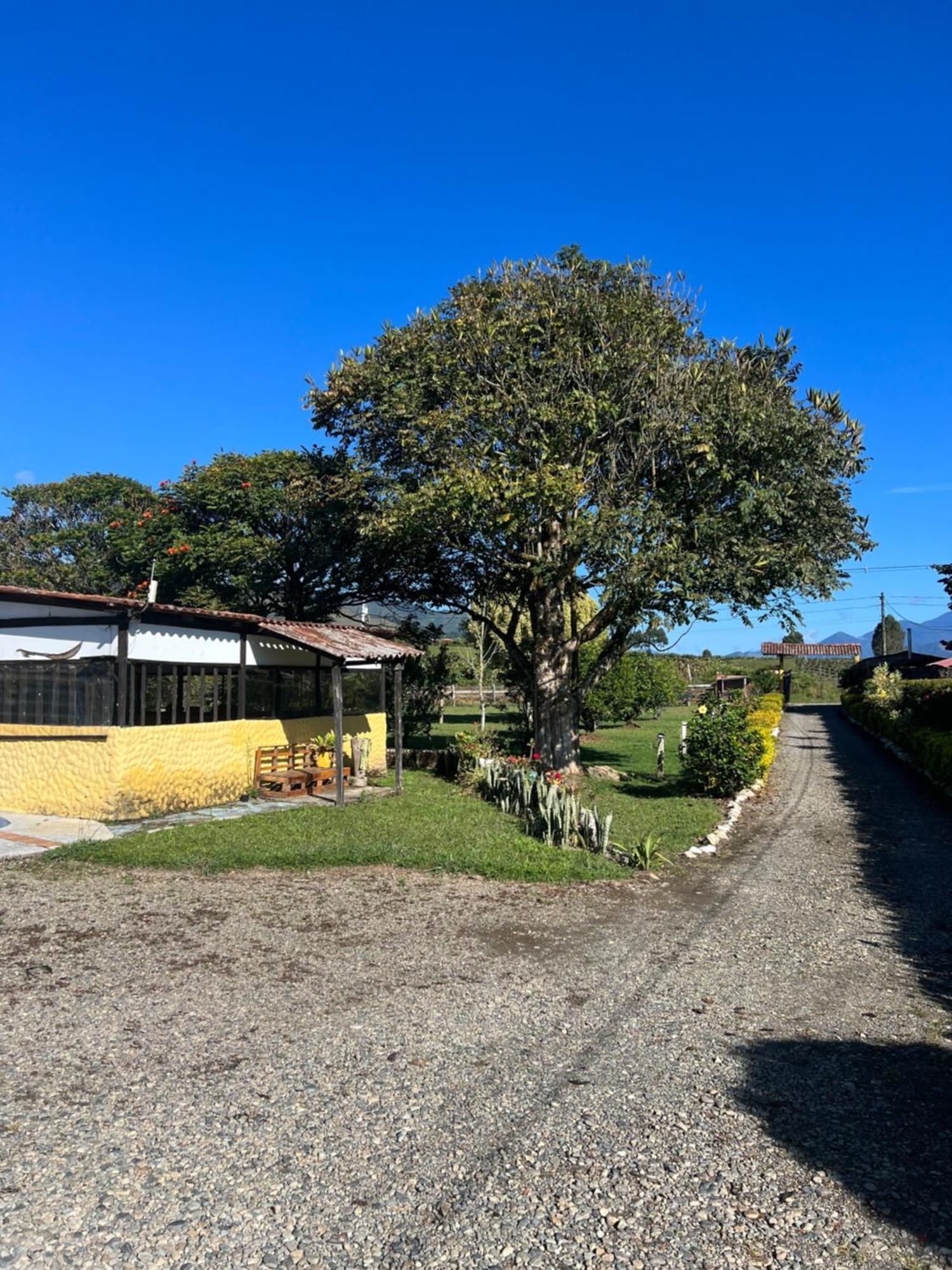 Finca Hotel Paraiso Urrao Ngoại thất bức ảnh