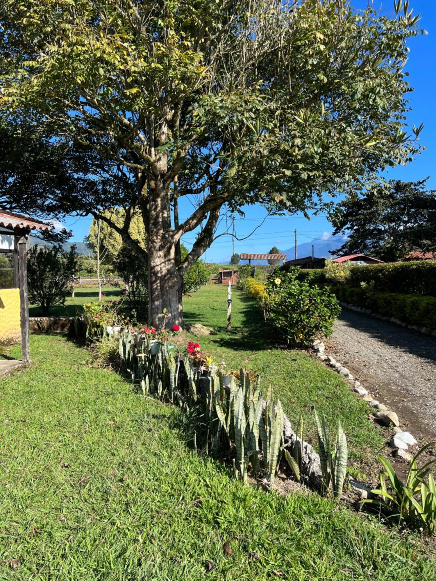 Finca Hotel Paraiso Urrao Ngoại thất bức ảnh